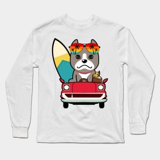 Cute grey dog driving to the beach Long Sleeve T-Shirt